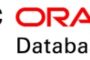 Configure Data Guard Physical Setup usando Data Broker no Oracle Database 19c / Data Guard Physical Setup using Data Broker in Oracle Database 19c